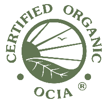 OCIA